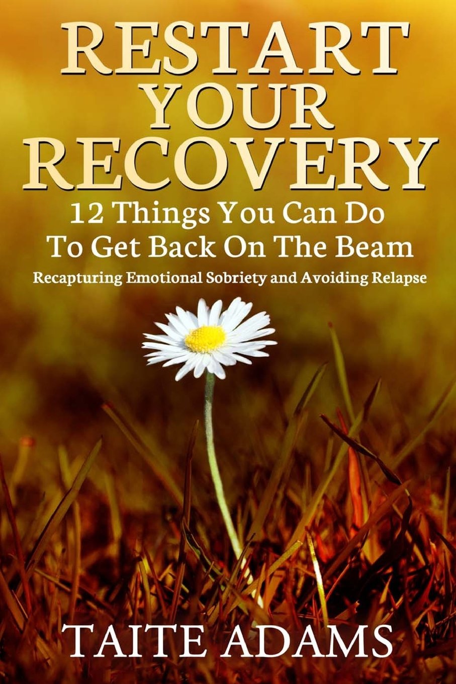 Restart Your Recovery - 12 Things You Can Do To Get Back on the Beam: Recapturing Emotional Sobriety and Avoiding Relapse Health, Nutrition & Fitness