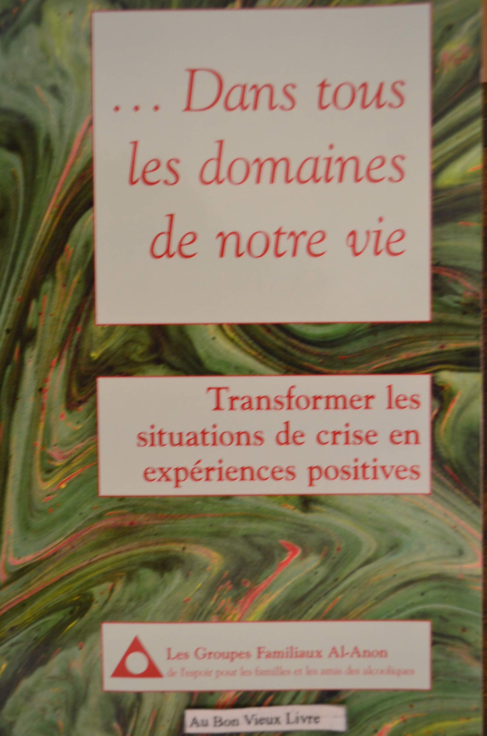 ... Dans tous les domaines de notre vie : Transformer les situations de crise en expériences positives book