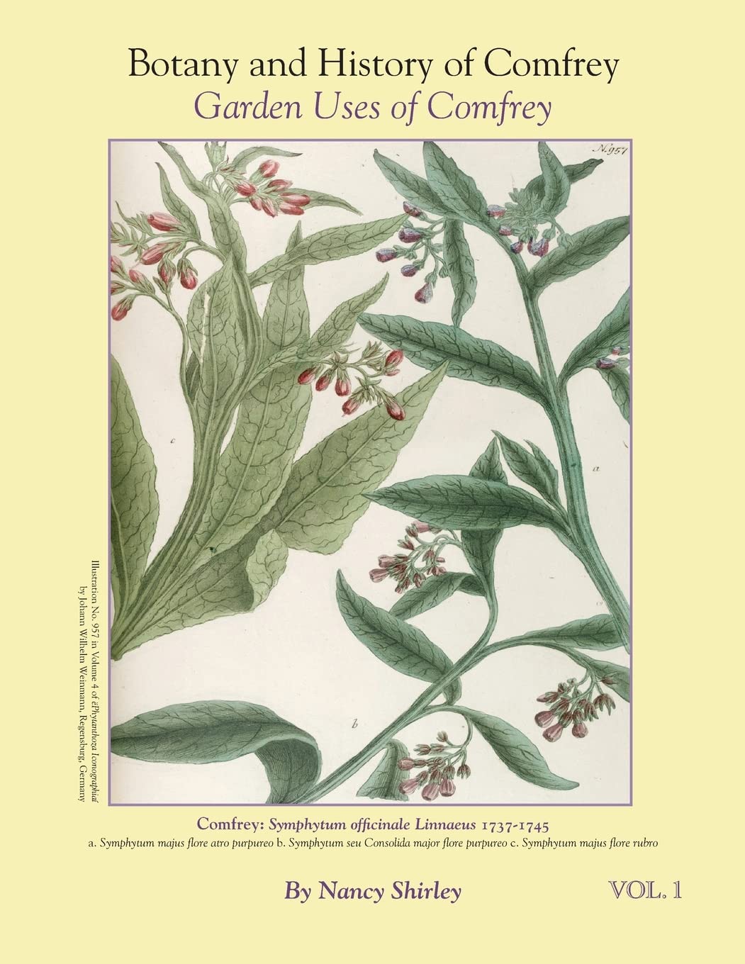 Botany and History of Comfrey; Garden Uses of Comfrey Mathematics