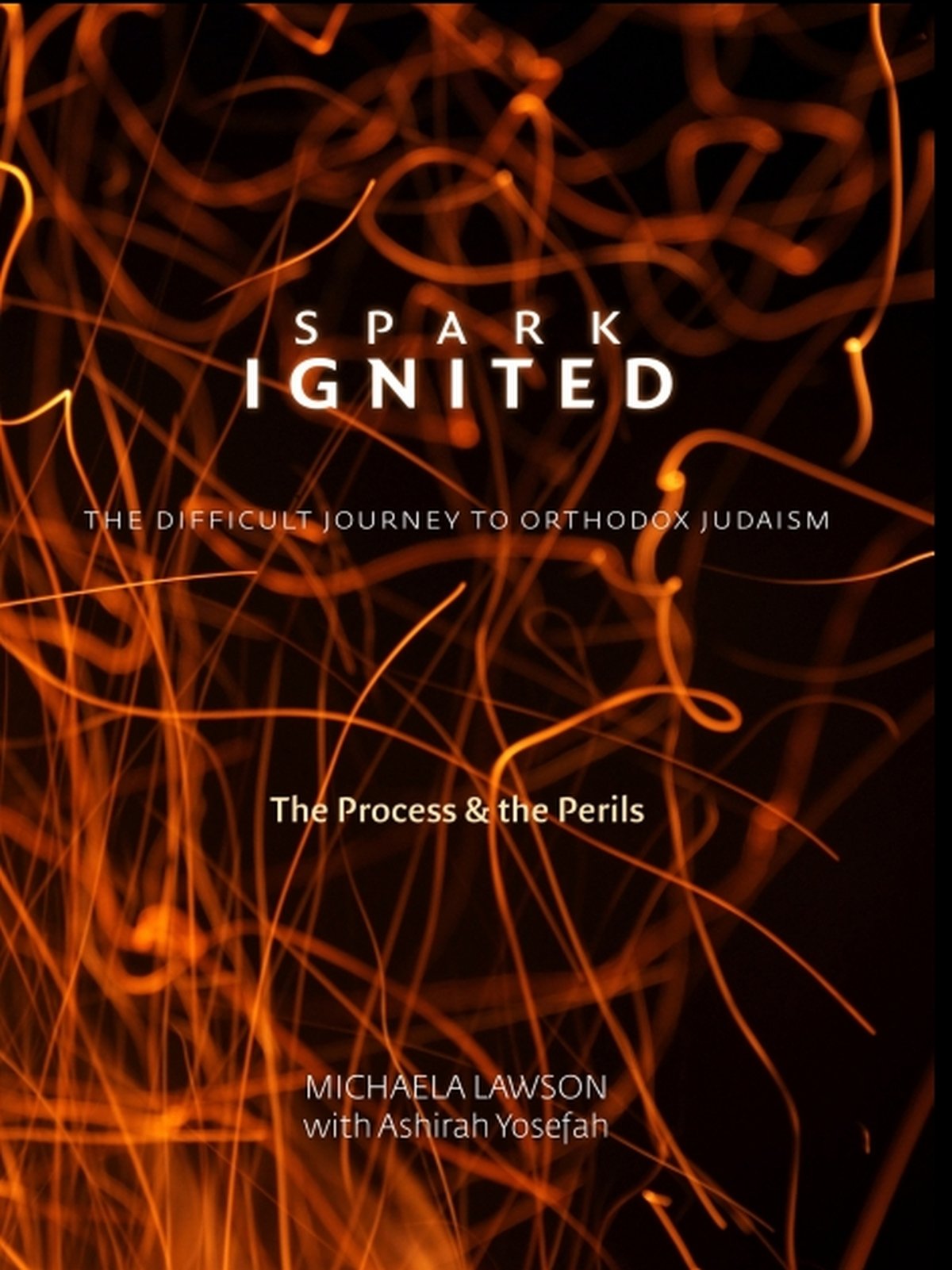 Spark Ignited: The Difficult Journey to Orthodox Judiasm (The Process & the Perils) Politics & Society