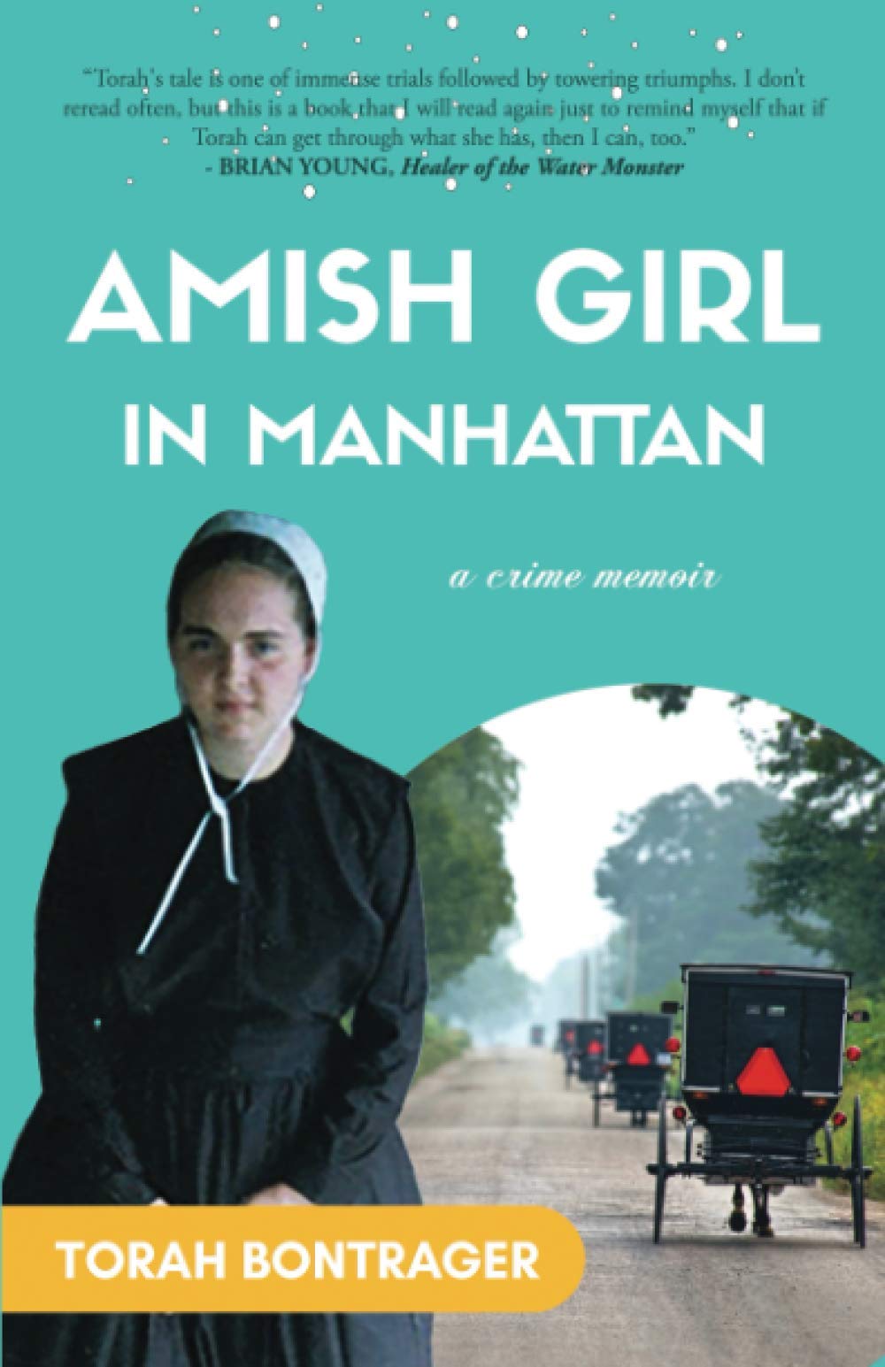 Amish Girl in Manhattan: A True Crime Memoir - By the Foremost Expert on the Amish Contemporary literature
