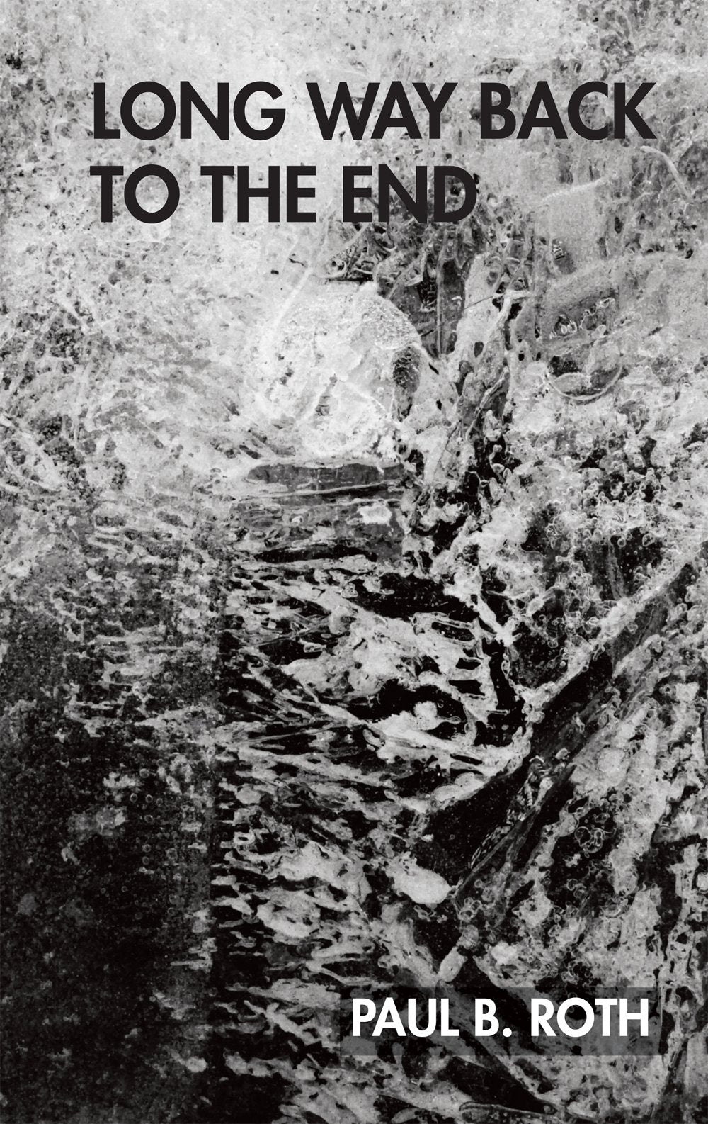 Product Image: Long Way Back to the End