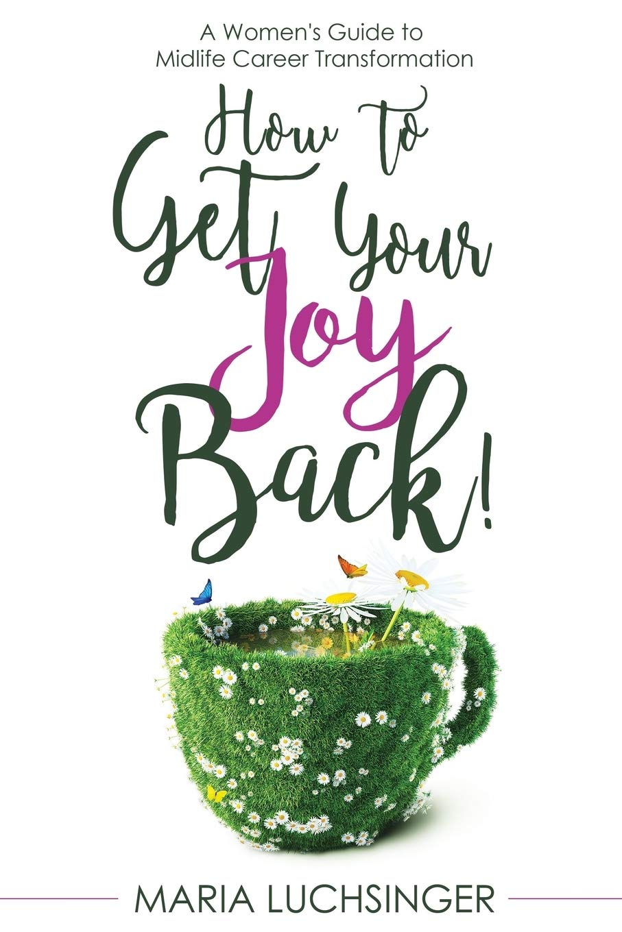 How to Get Your Joy Back!: A Women's Guide to Midlife Career Transformation Social Sciences