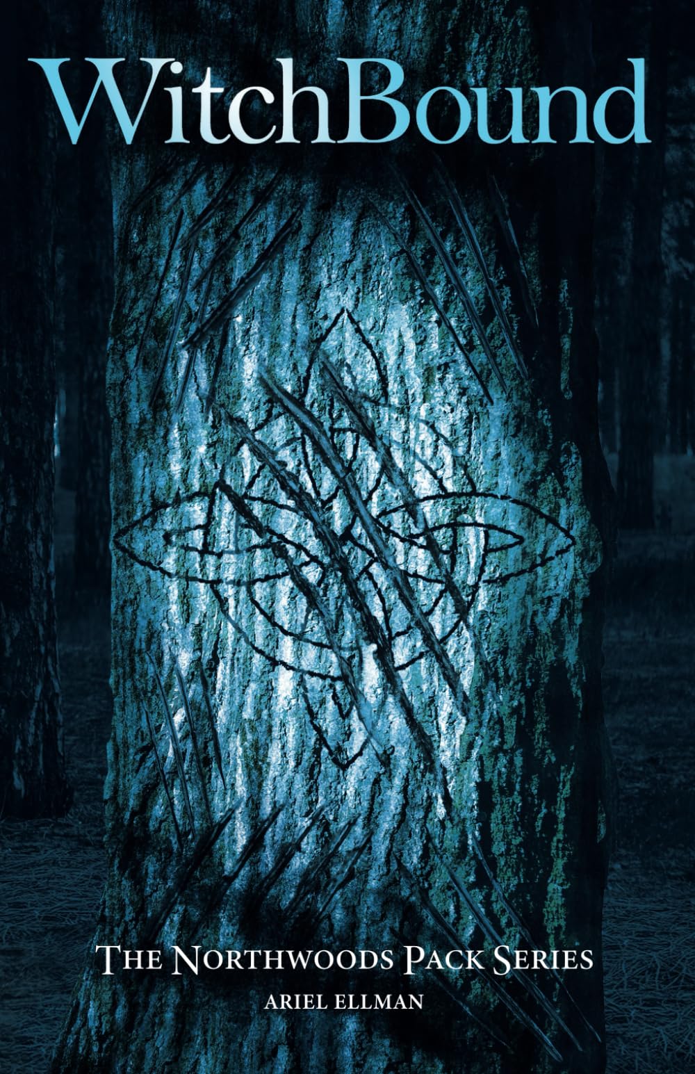 WitchBound (The Northwoods Pack Series, Band 1) LGBTQ+