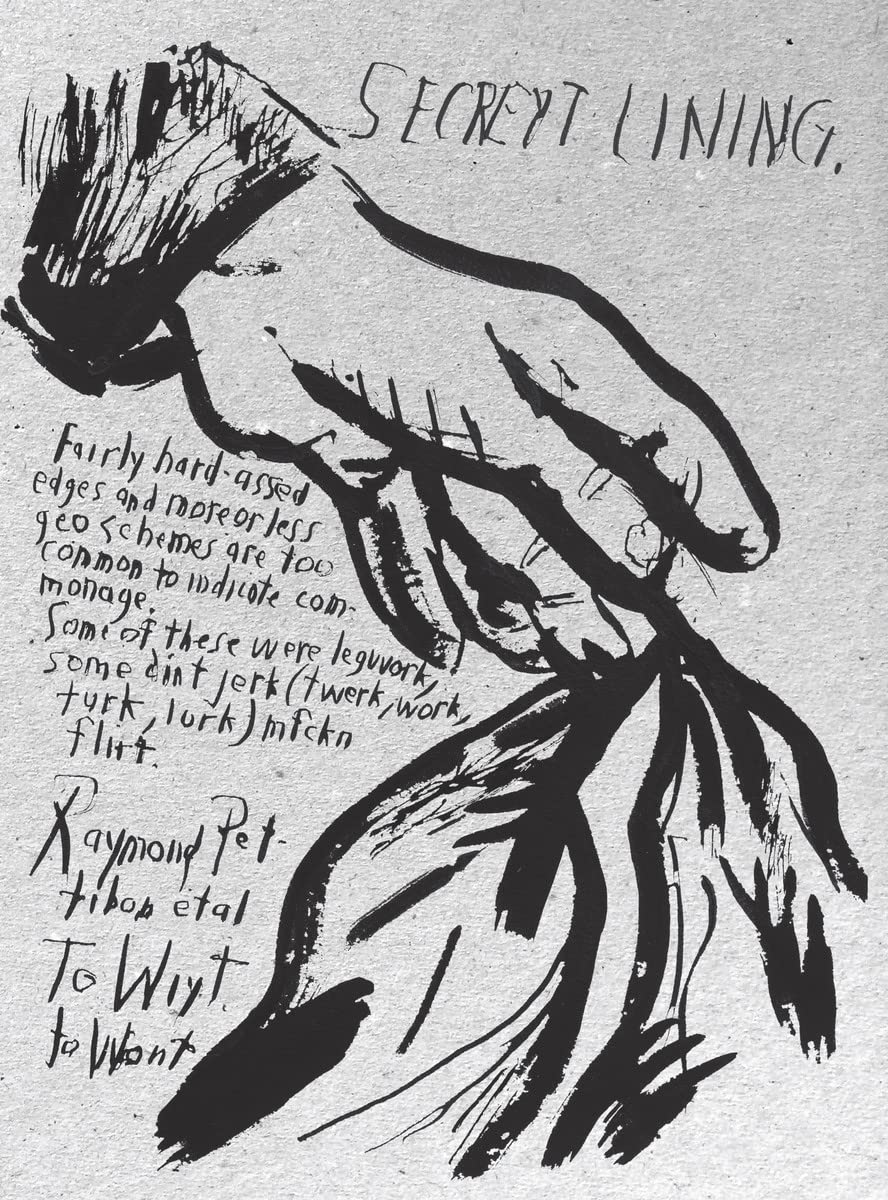 Raymond Pettibon: To Wit /anglais book