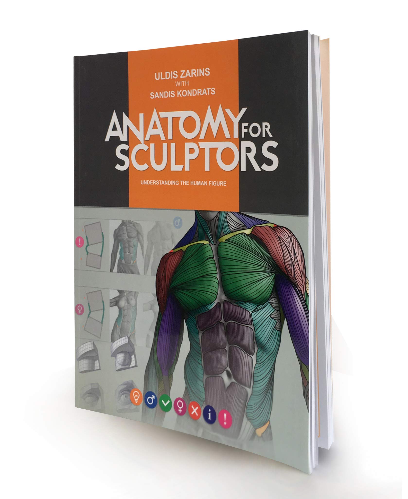 Anatomy for Sculptors, Understanding the Human Figure by Uldis Zarins with Sandis Kondrats (2014-08-02) Books