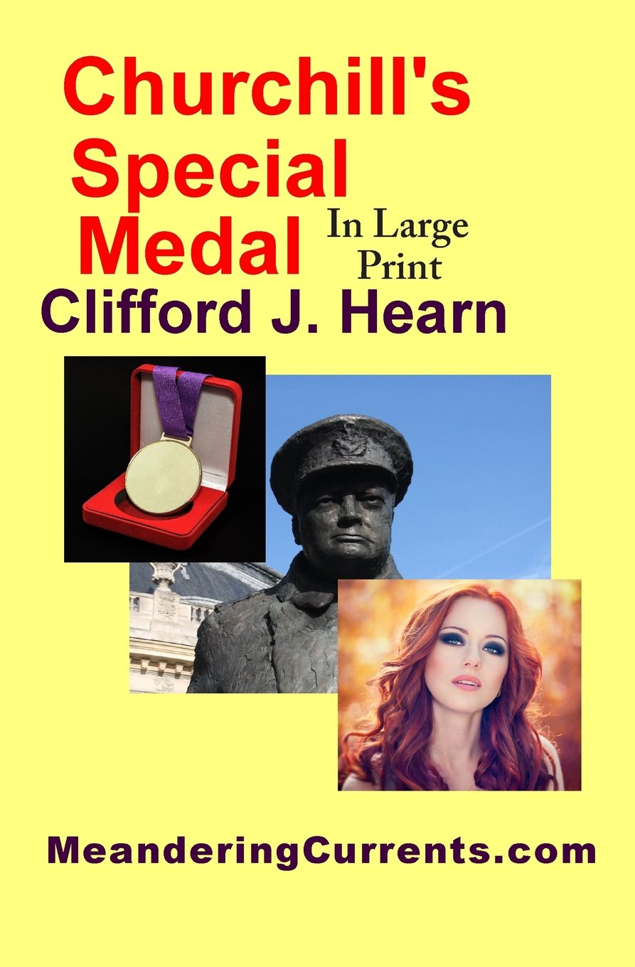 Churchill's Special Medal in Large Print Contemporary literature