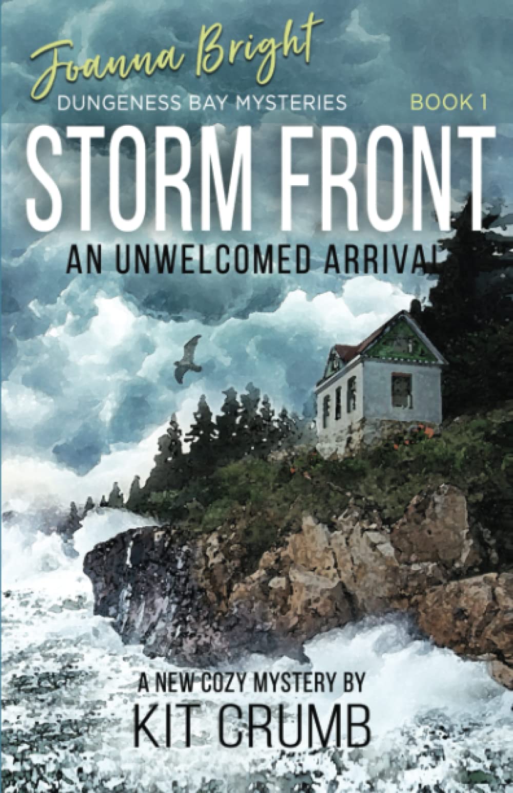 Storm Front: An Unwelcomed Arrival (Joanna Bright Dungeness Bay Cozy Mysteries, Band 1) Contemporary literature