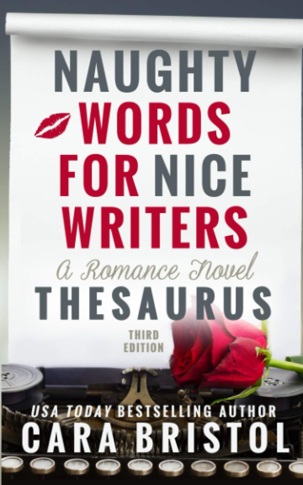 Naughty Words for Nice Writers: A Romance Novel Thesaurus Learning & Reference