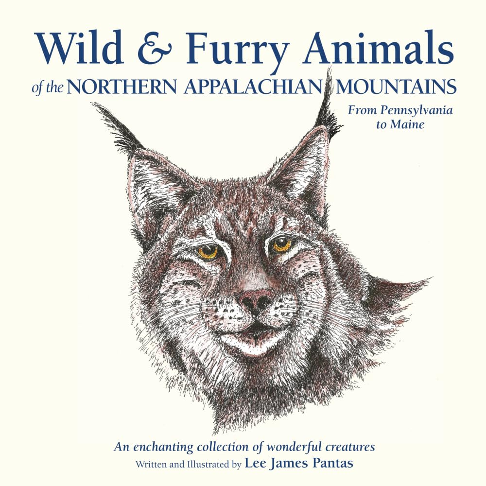 Wild & Furry Animals of the Northern Appalachian Mountains Mathematics