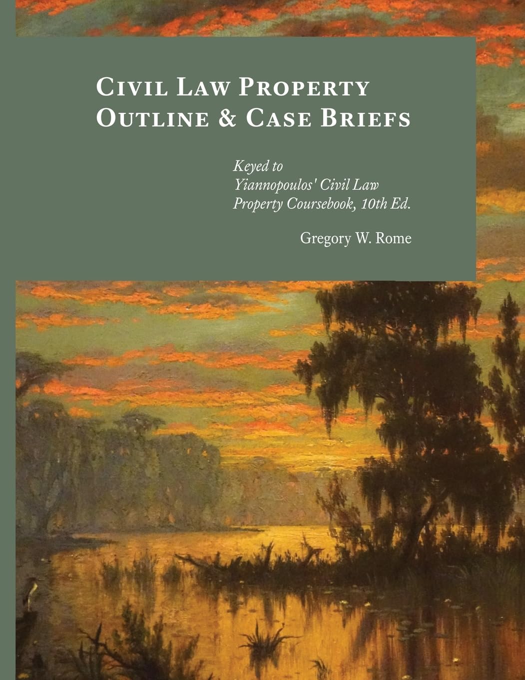Civil Law Property Outline & Case Briefs Law