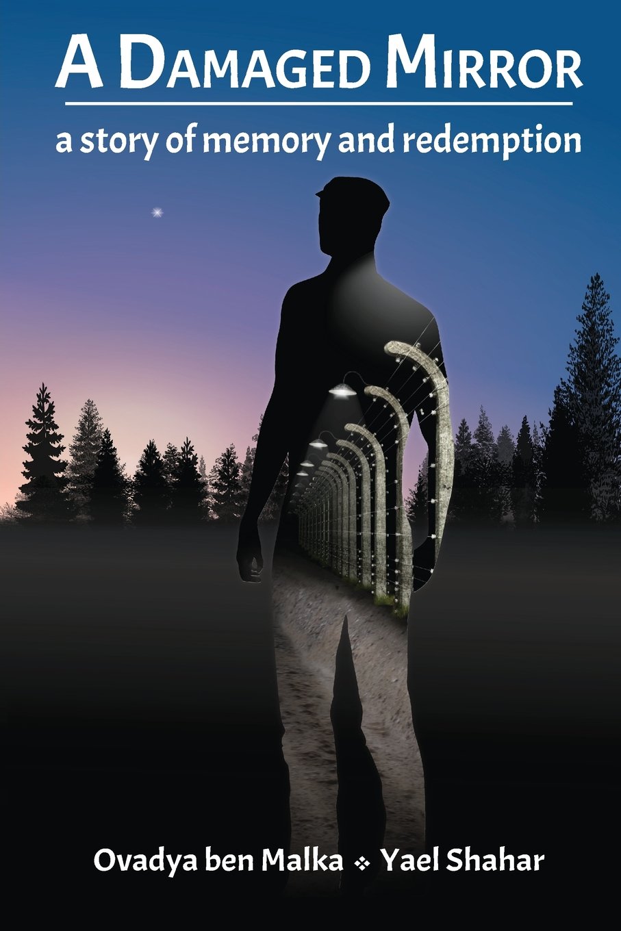 A Damaged Mirror: A story of memory and redemption Art & Literature