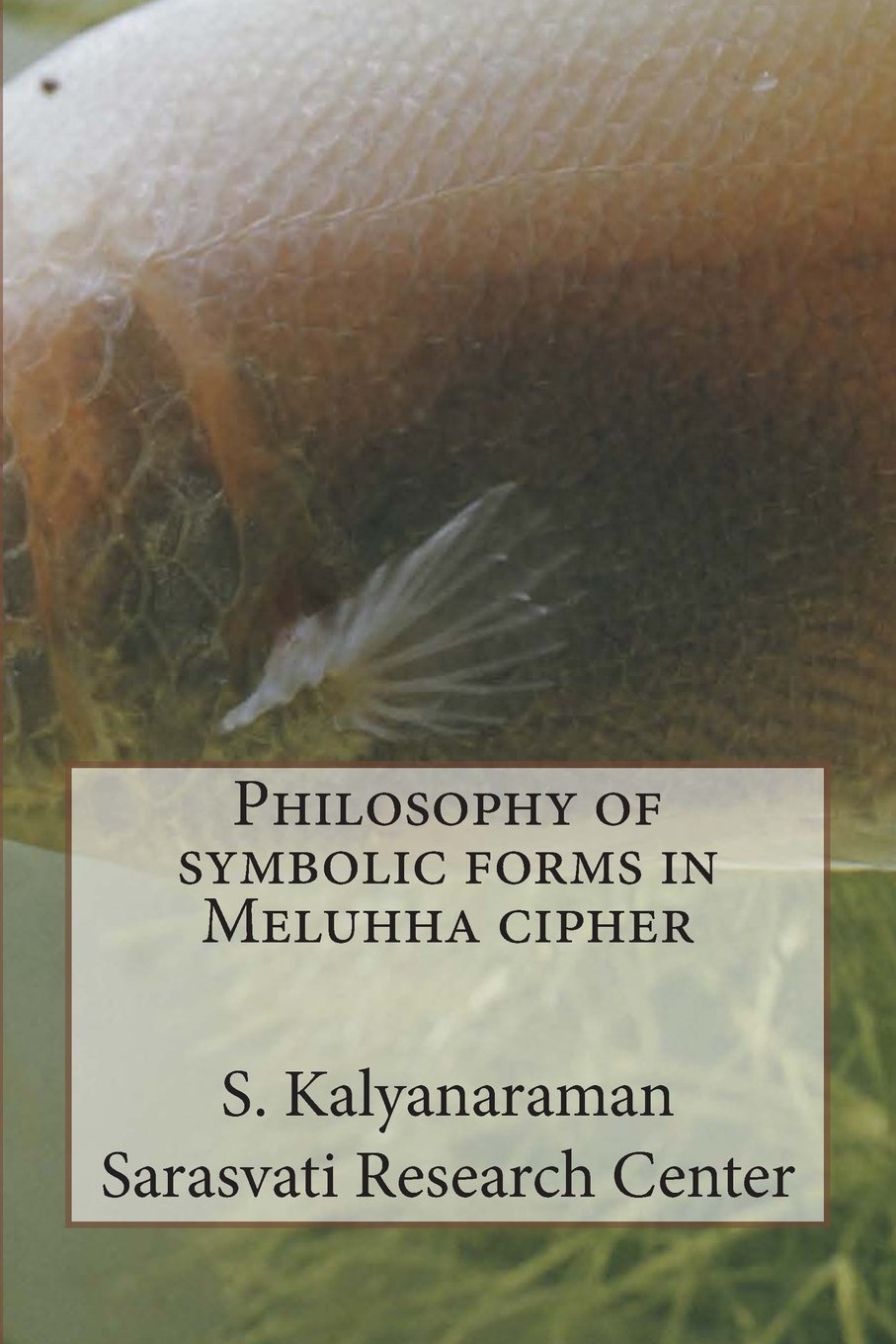 Philosophy of symbolic forms in Meluhha cipher Politics & History