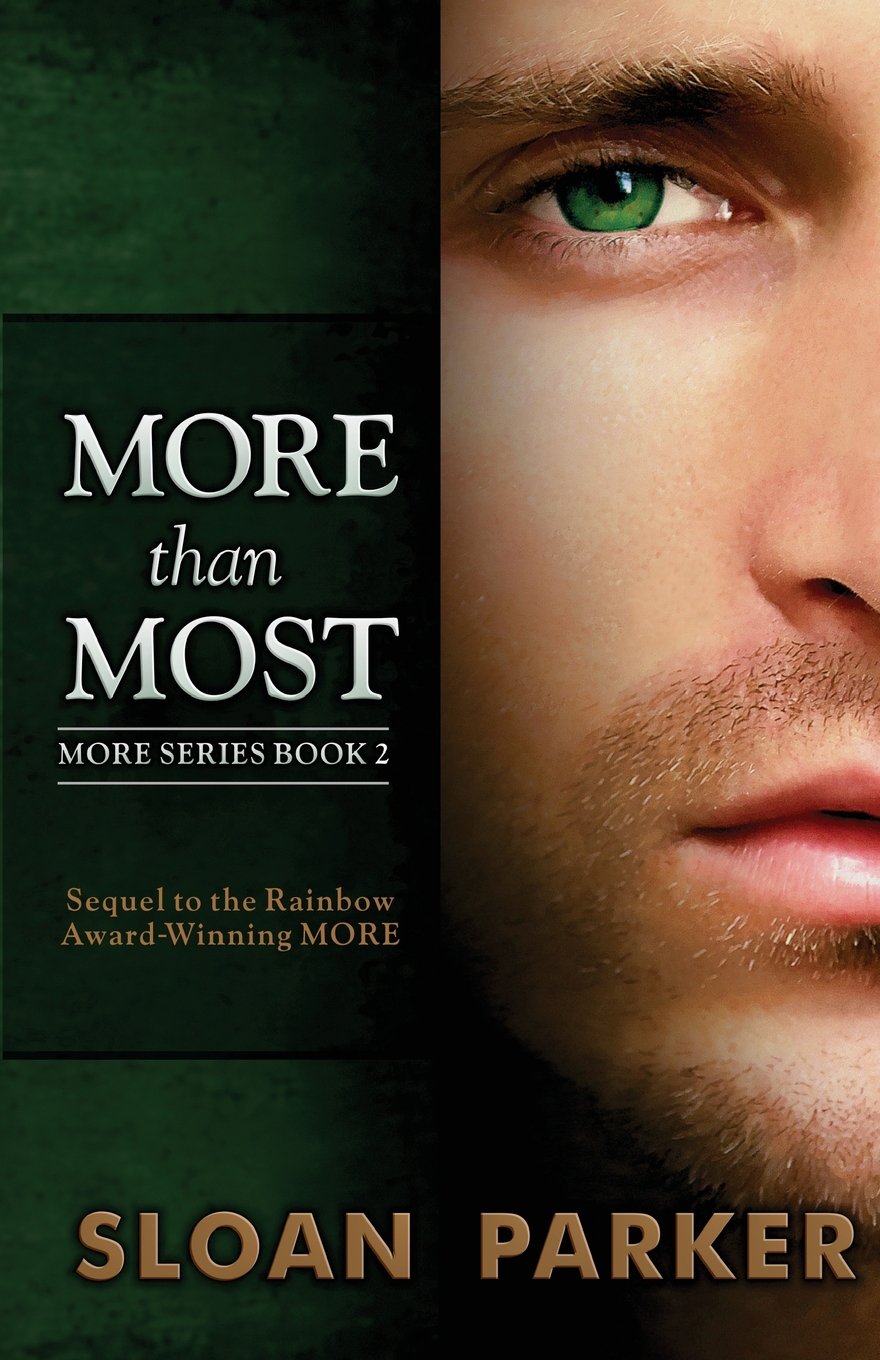 More Than Most LGBTQ+ Books