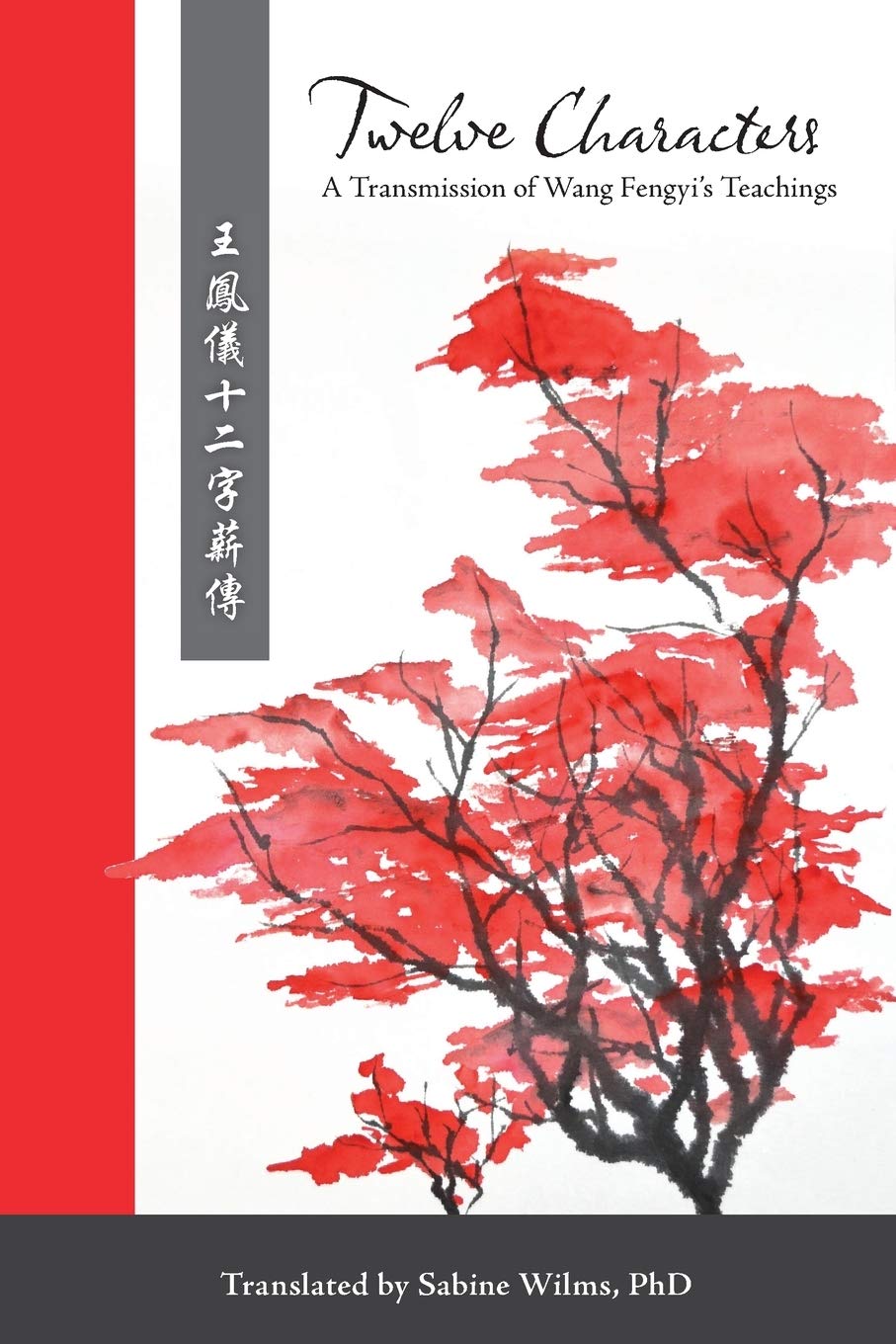 Twelve Characters Medicine Books