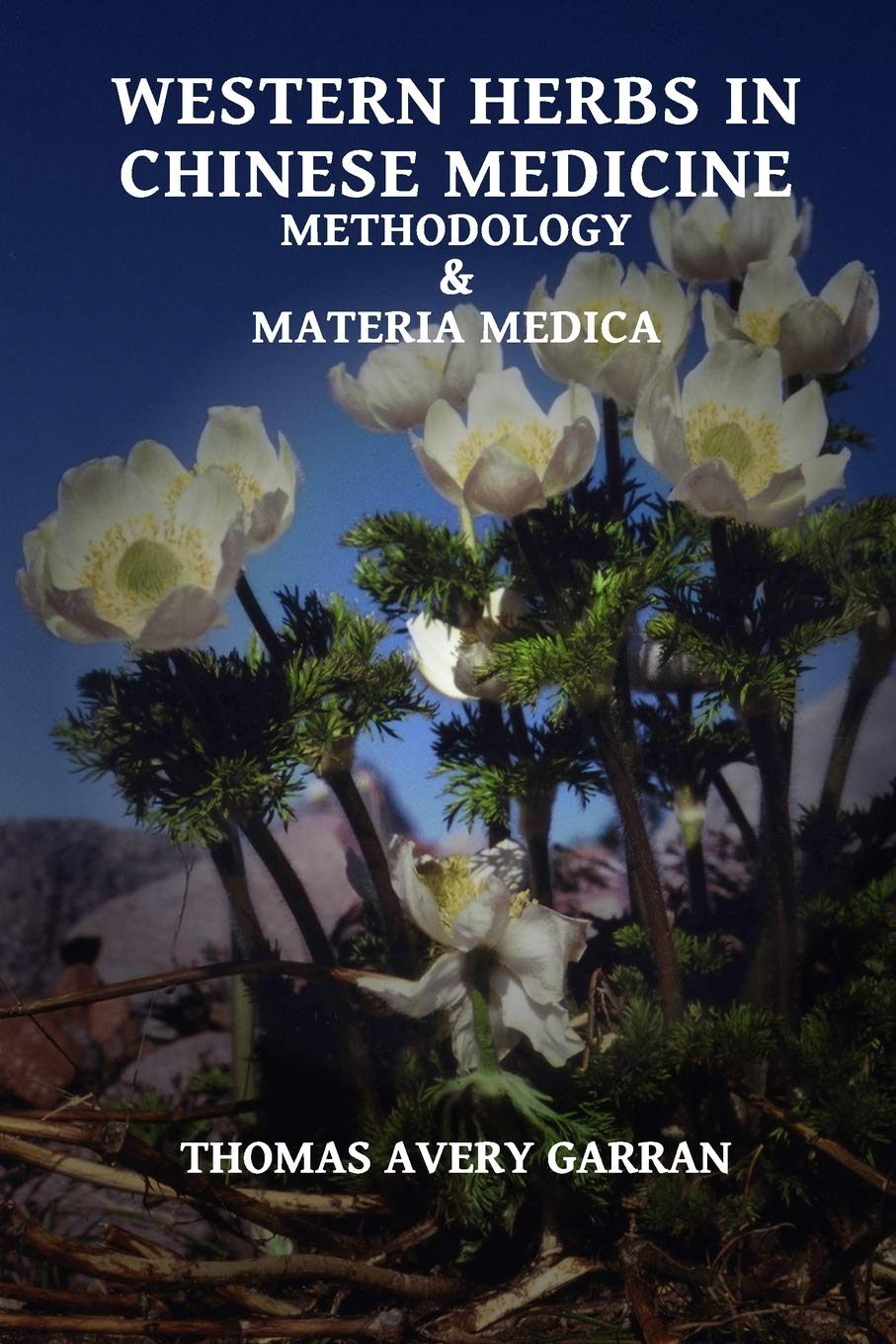 Western Herbs in Chinese Medicine: Methodology and Materia Medica book
