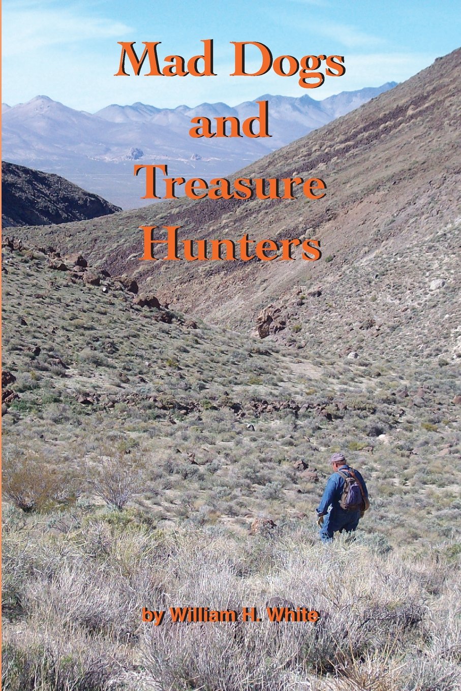 Mad Dogs and Treasure Hunters Action & Adventure