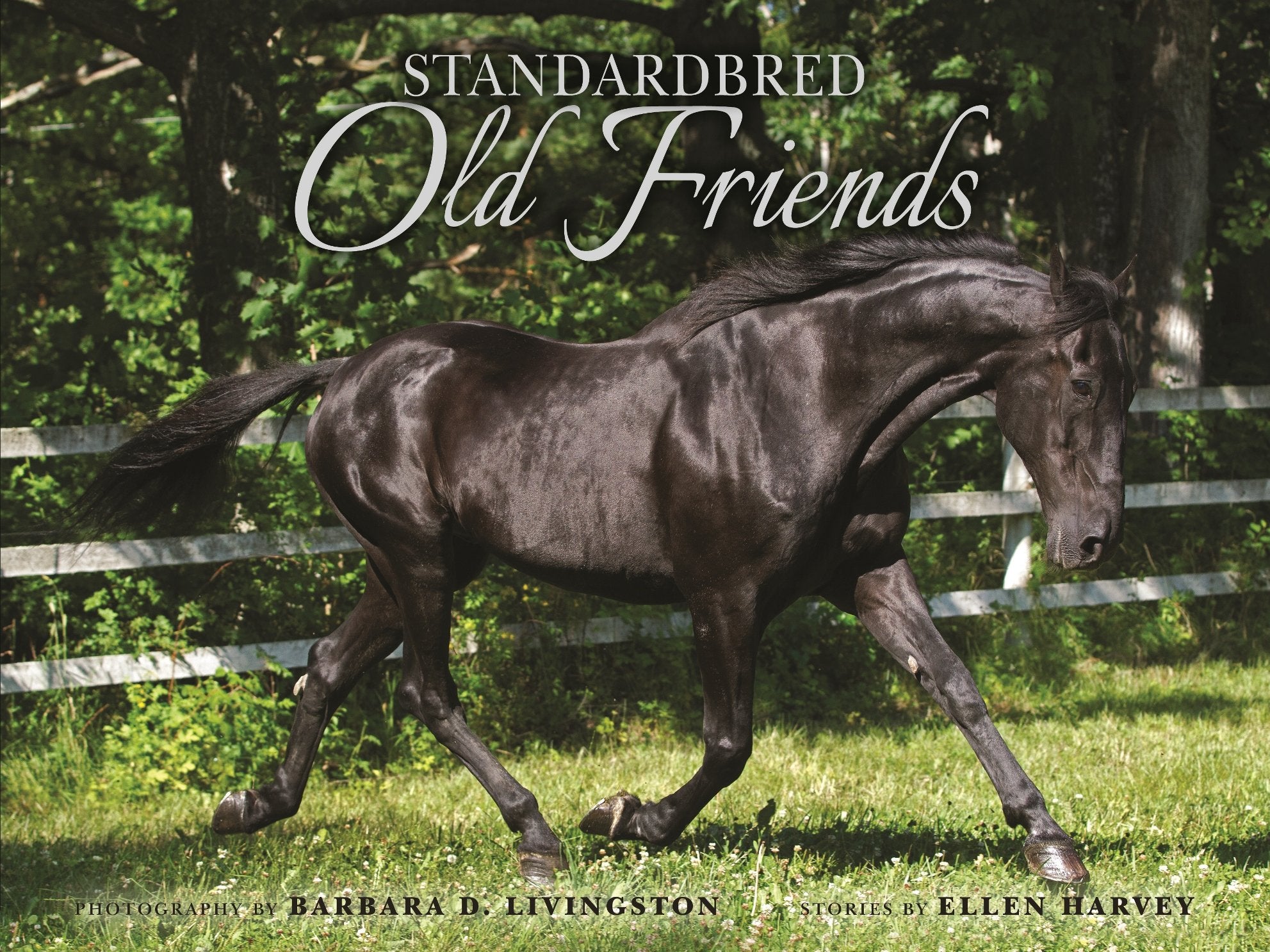 Standardbred Old Friends Books