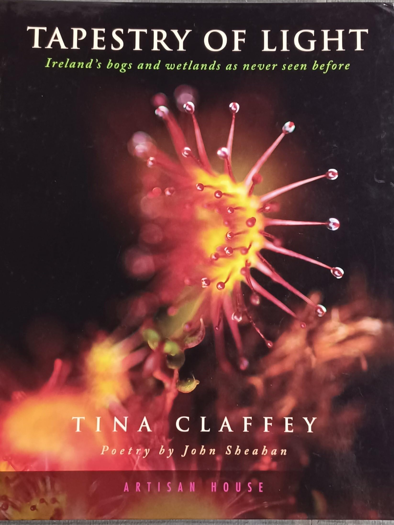 Tapestry Of Light: Ireland's bogs and wetlands as never seen before Nature & Animals