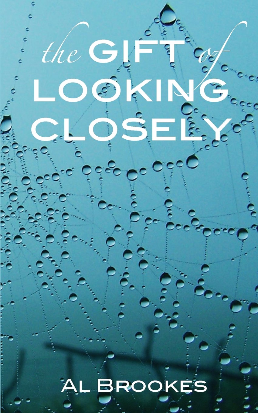 The Gift of Looking Closely Contemporary literature
