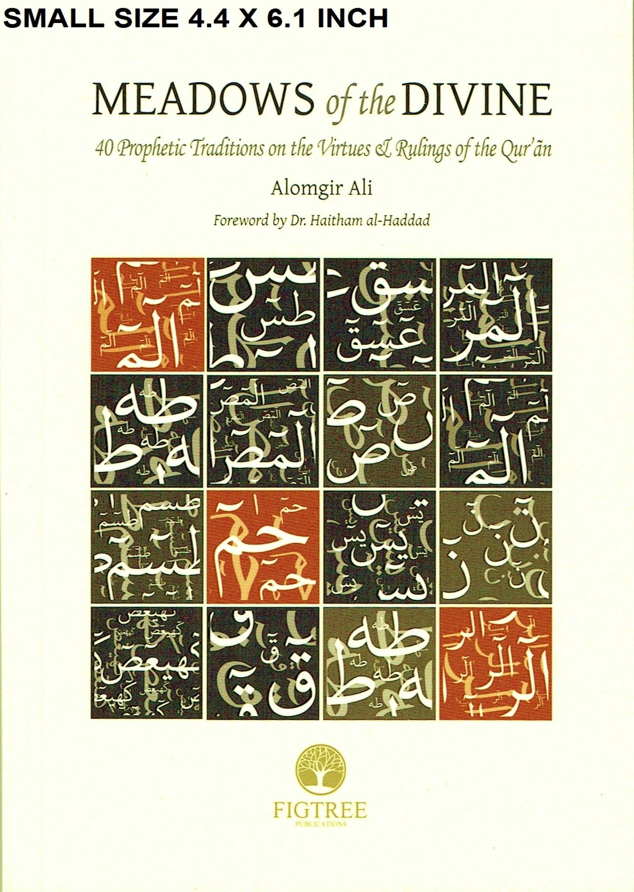 Meadows of the Divine: 40 Prophetic Traditions on the Virtues & Ruling of the Qur'an Religion & Esotericism