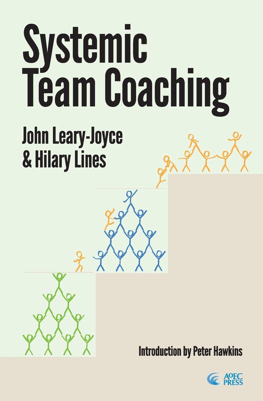 Systemic Team Coaching Business, Finance & Career