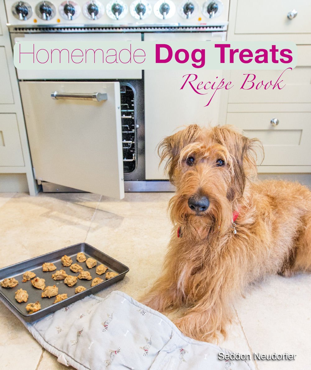 Homemade Dog Treats: Recipe Book book