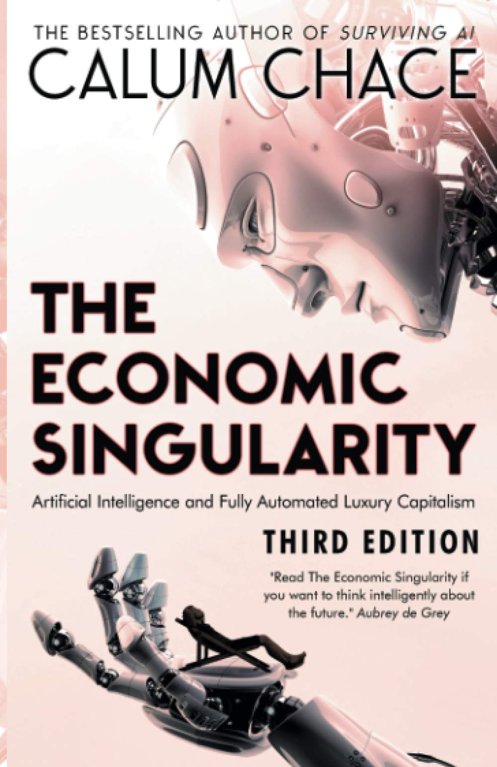 Product Image: The Economic Singularity