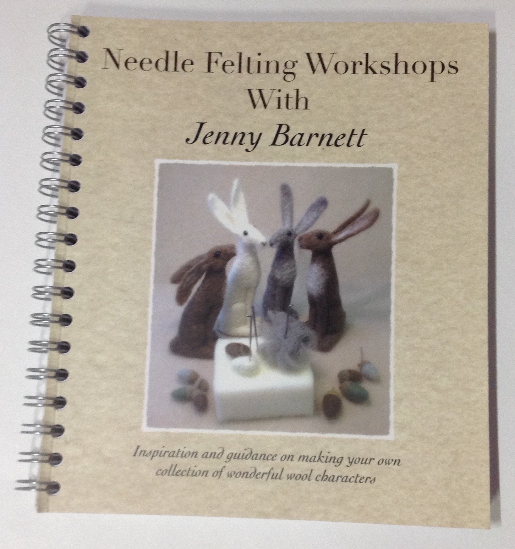 Needle Felting Workshops with Jenny Barnett: Inspiration and Guidance on Making Your Own Collection of Wonderful Wool Characters Hobbies & Crafts