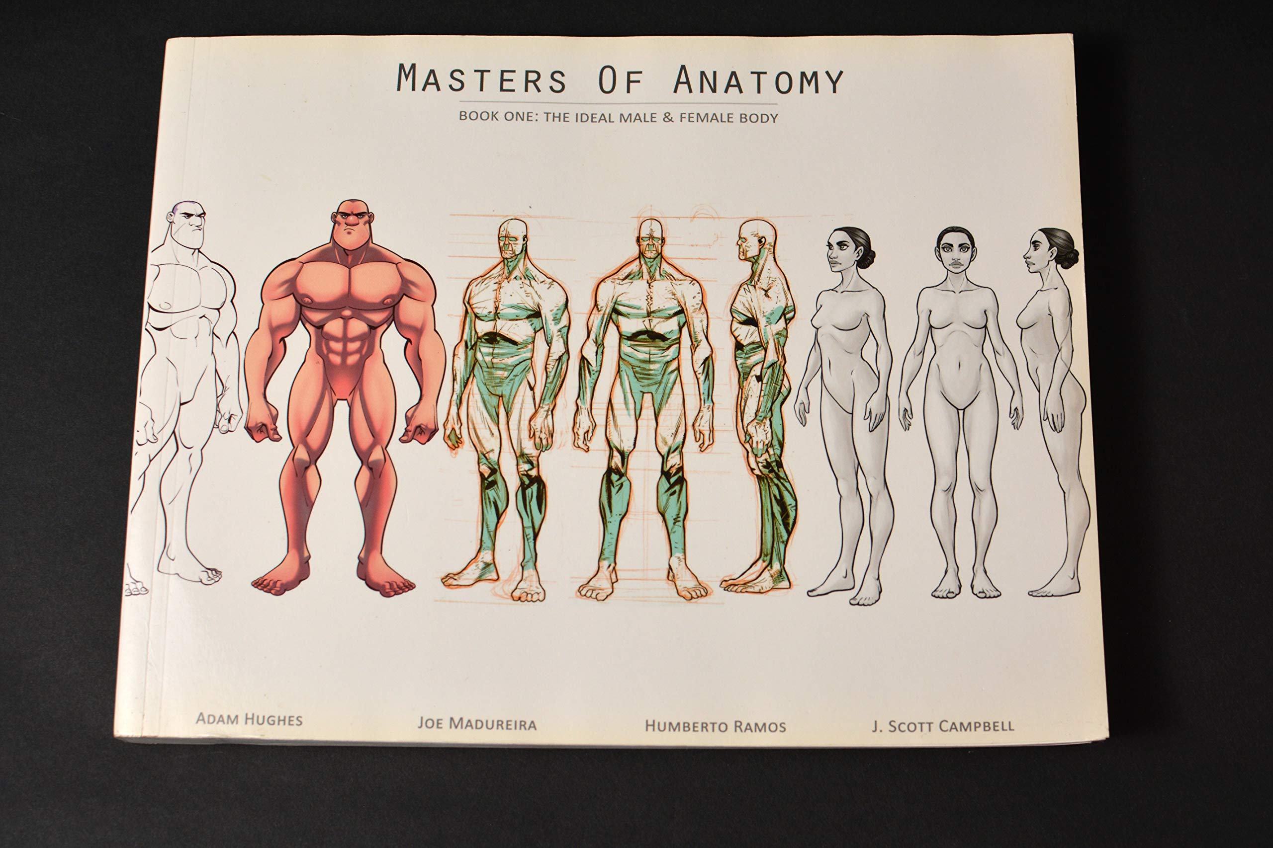 Masters of Anatomy Book One: The Ideal Male & Female Body book