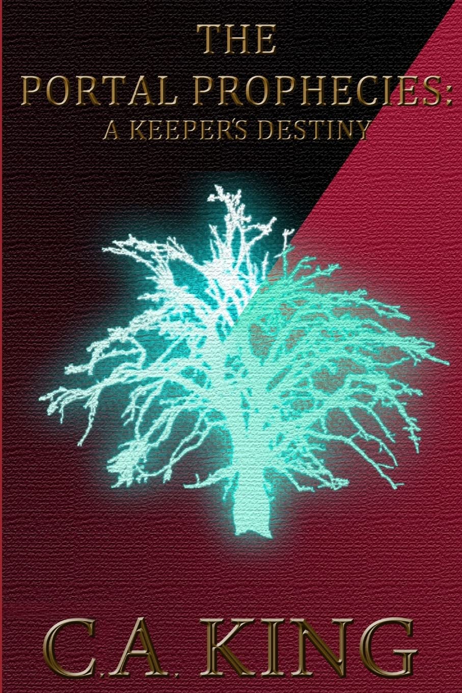 The Portal Prophecies: A Keeper's Destiny book