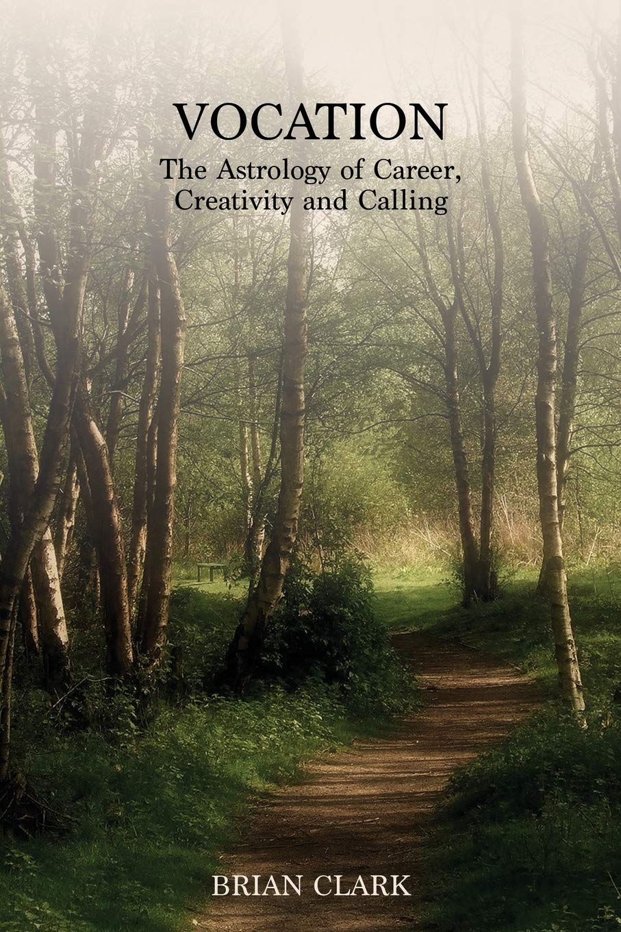 Vocation: The Astrology of Career, Creativity and Calling Business, Finance & Career