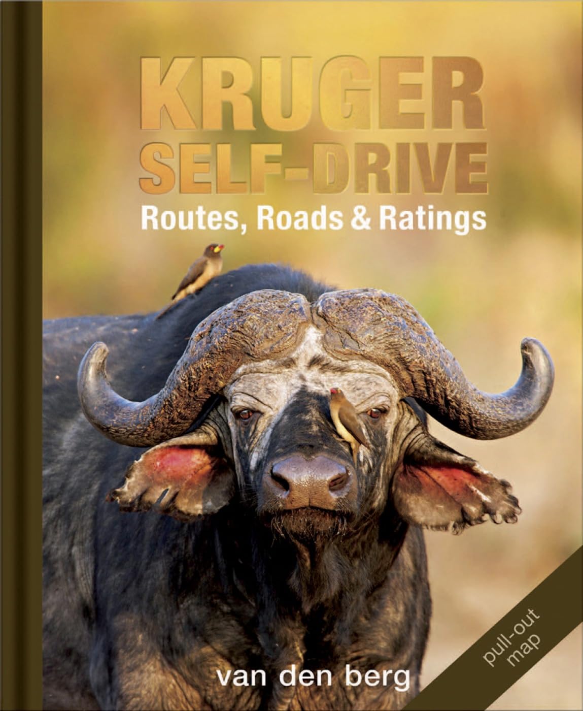 Kruger Self-drive: Routes, Roads & Ratings Mathematics