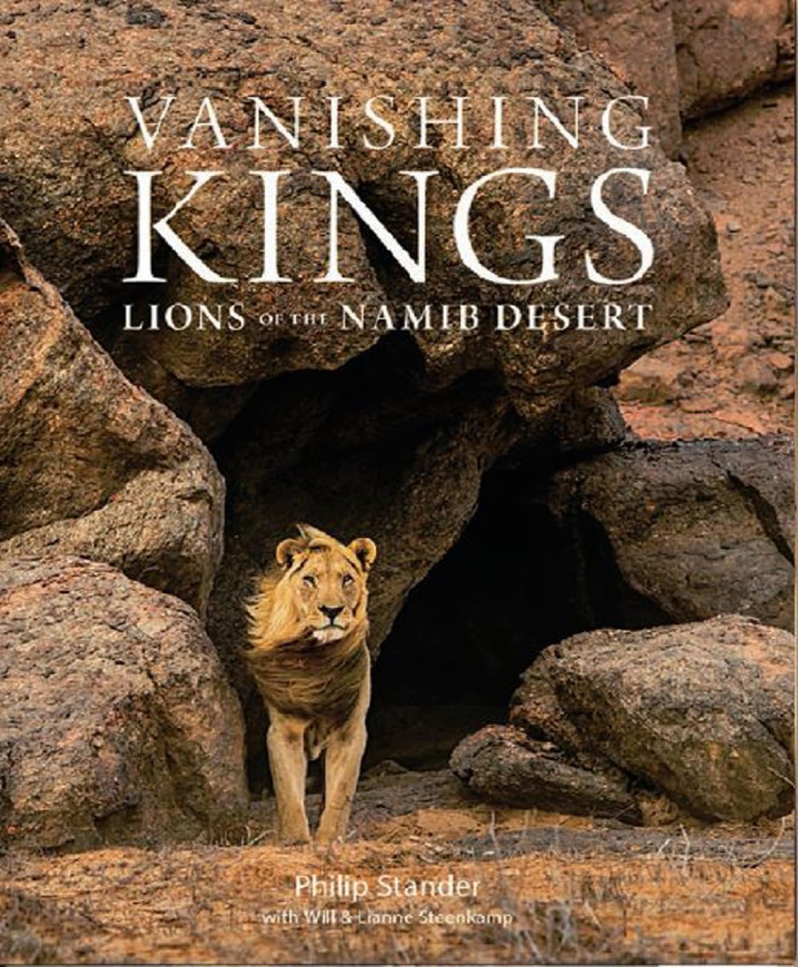Vanishing Kings: Lions of the Namib Desert Mathematics