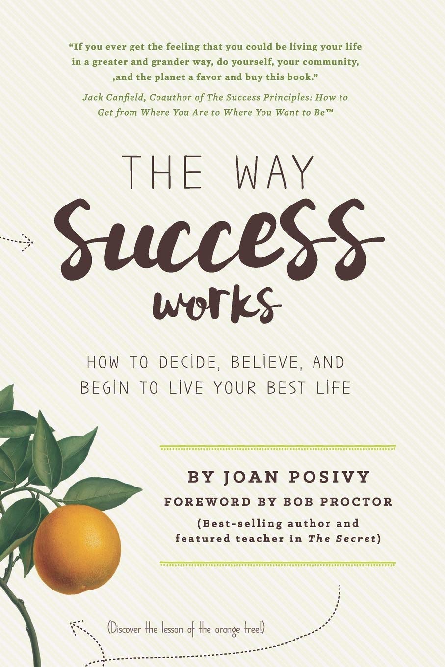 The Way Success Works: How to Decide, Believe, and Begin to Live Your Best Life book
