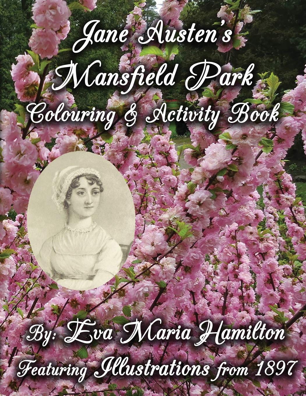 Jane Austen's Mansfield Park Colouring & Activity Book Contemporary literature
