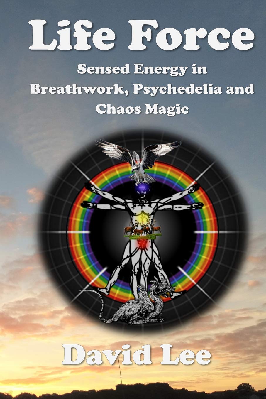 Life Force: Sensed energy in breathwork, psychedelia and chaos magic Religion & Esotericism