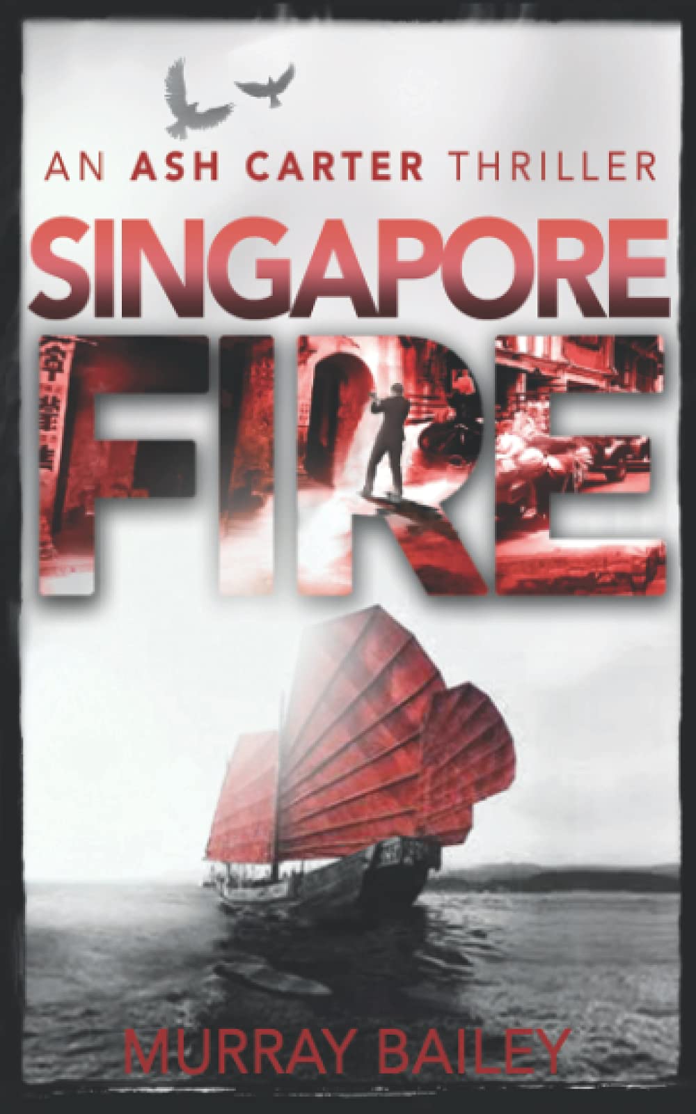 Singapore Fire: An addictive thriller with a shocking twist (An Ash Carter Mystery-Thriller, Band 6) Historical Fiction