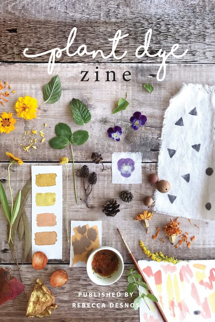 Plant Dye Zine Film, Art & Culture