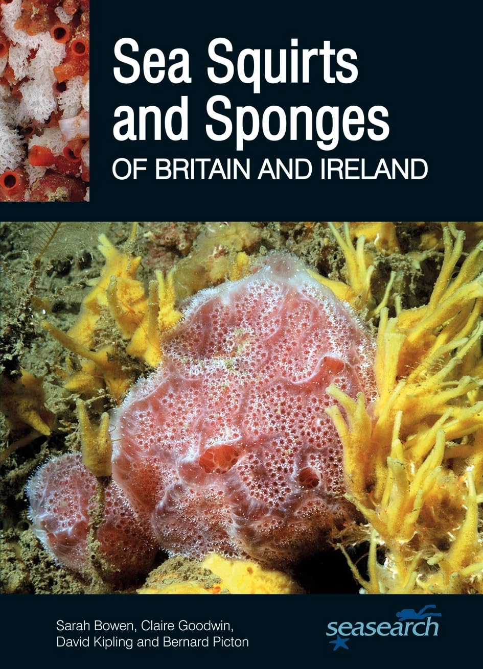 Sea Squirts and Sea Sponges of Britain and Ireland (Wild Nature Press) Leisure, Home & Garden