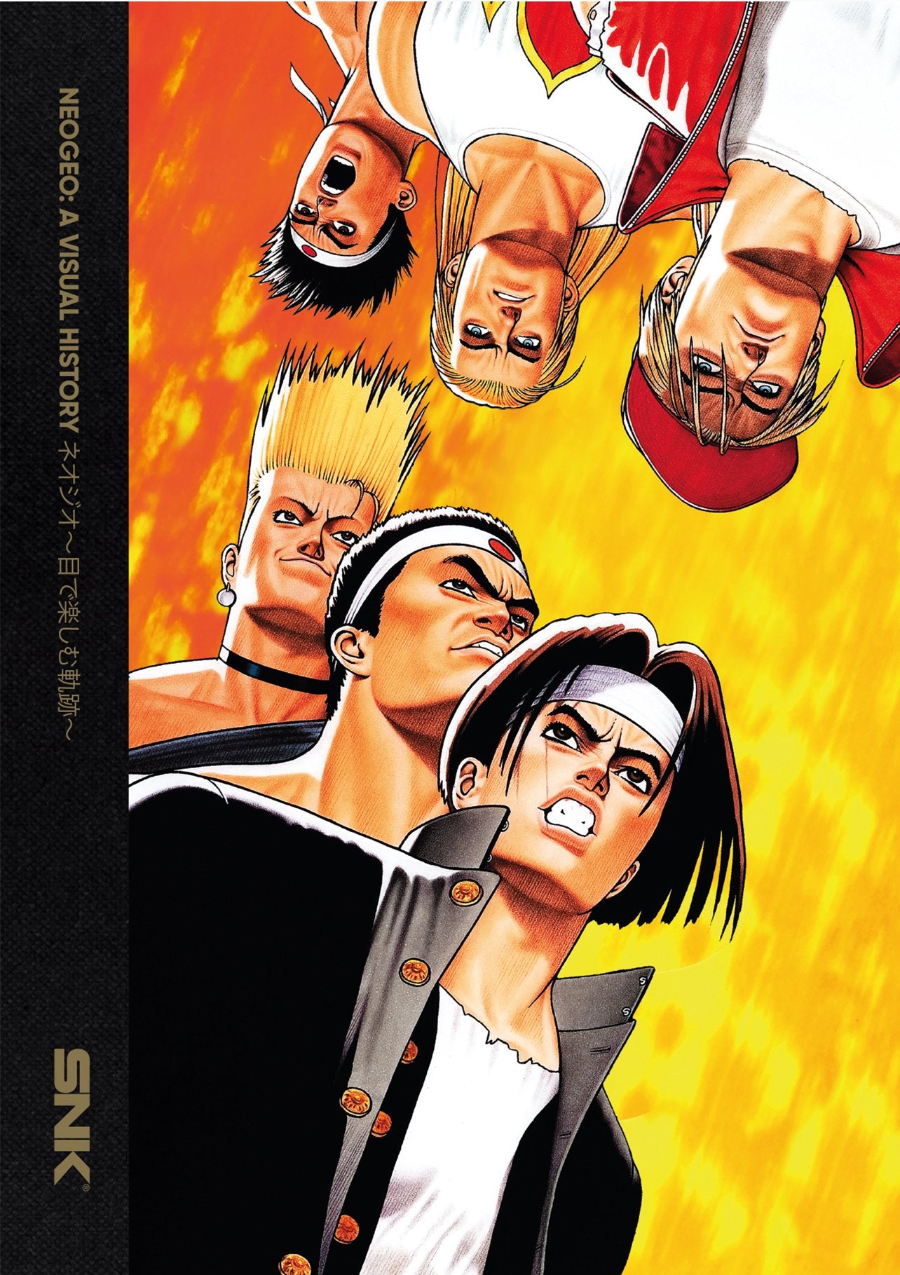 NEOGEO: A VISUAL HISTORY Computer Science