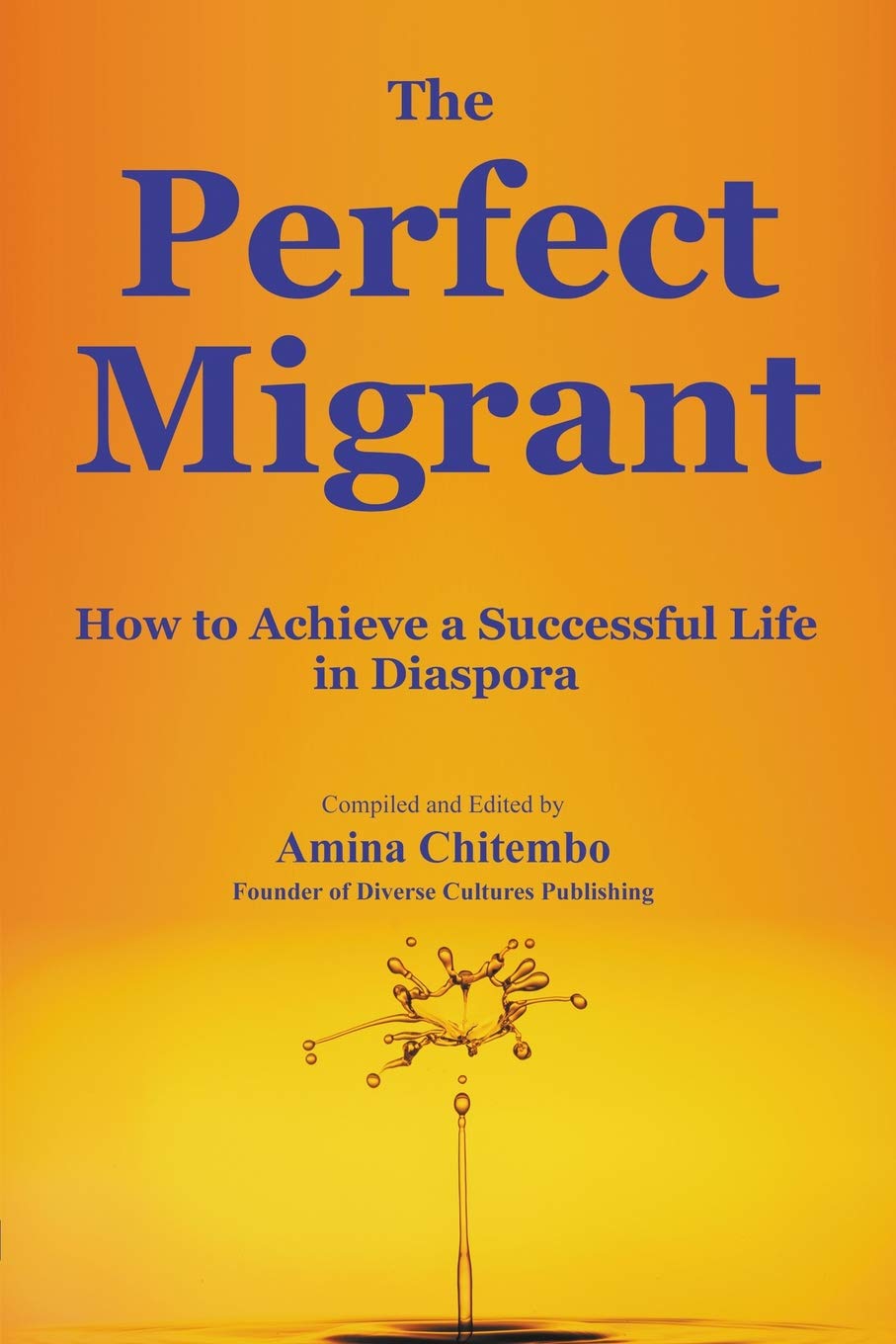The Perfect Migrant: How to Achieve a Successful Life in Diaspora (Diversity, Band 1) Books