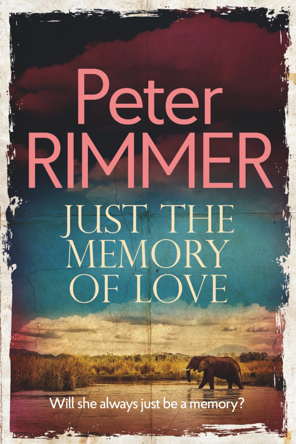 Just the Memory of Love book