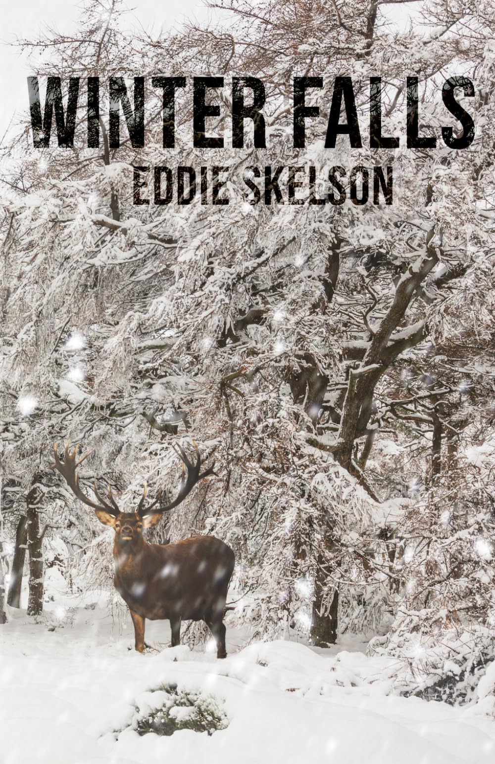 Winter Falls book