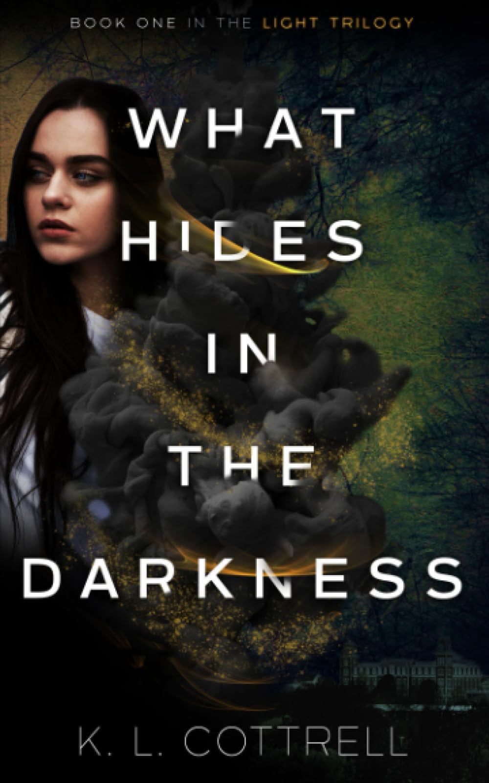 What Hides in the Darkness (The Light Trilogy, Band 1) Romance