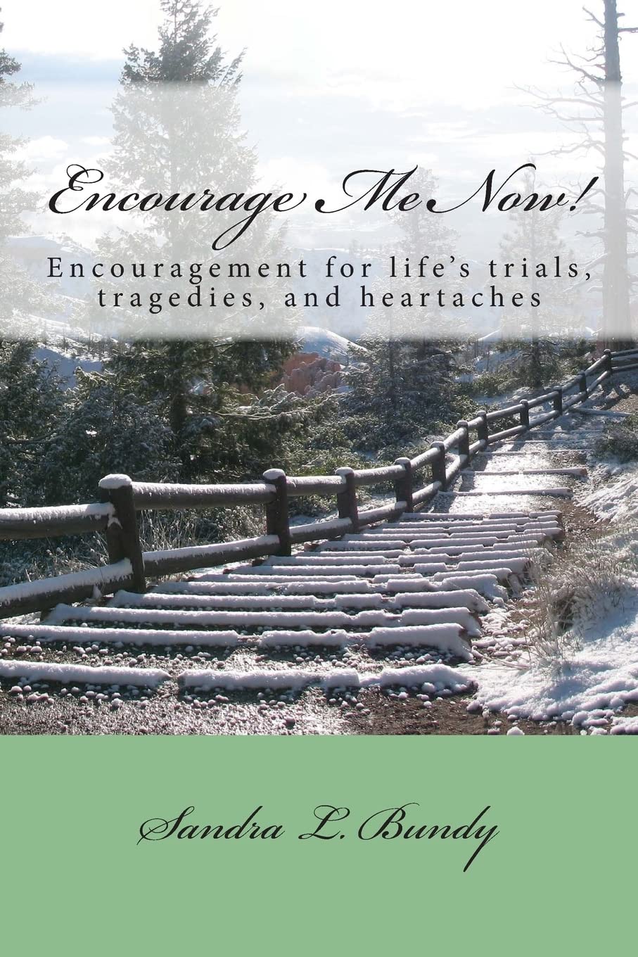 Encourage Me Now!: Finding encouragement for every day trials, heartaches, and tragedies. Religion & Esotericism