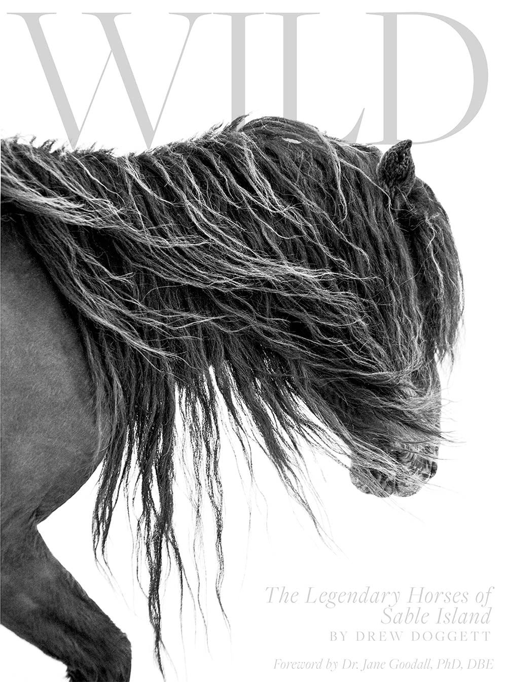 Wild: The Legendary Horses of Sable Island Travel
