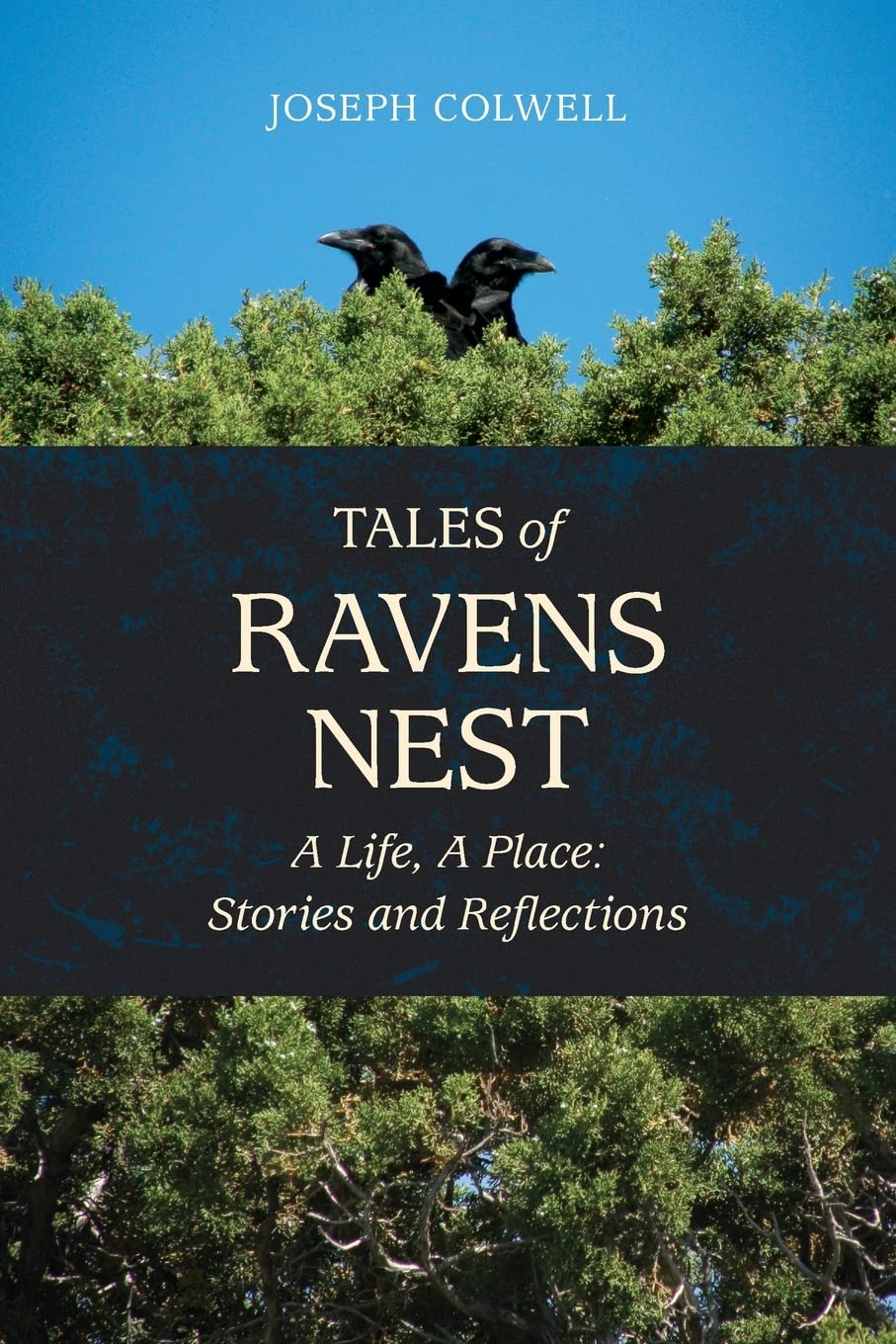 Tales of Ravens Nest: A Life, A Place: Stories and Reflections Essays & Short Stories