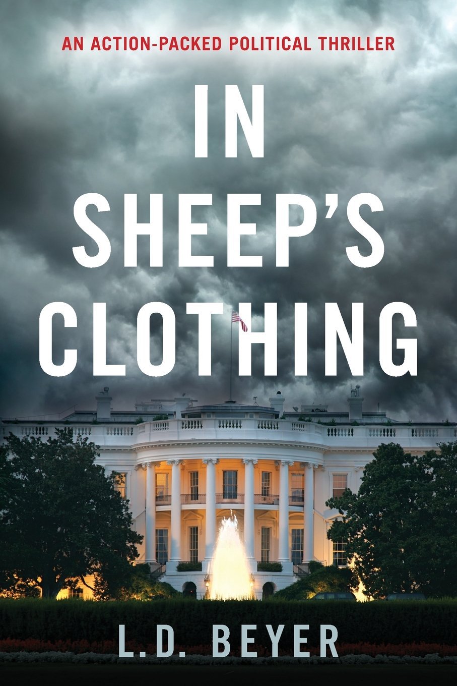 In Sheep's Clothing: An Action-Packed Political Thriller (Matthew Richter Thriller Series Book 1) Action & Adventure