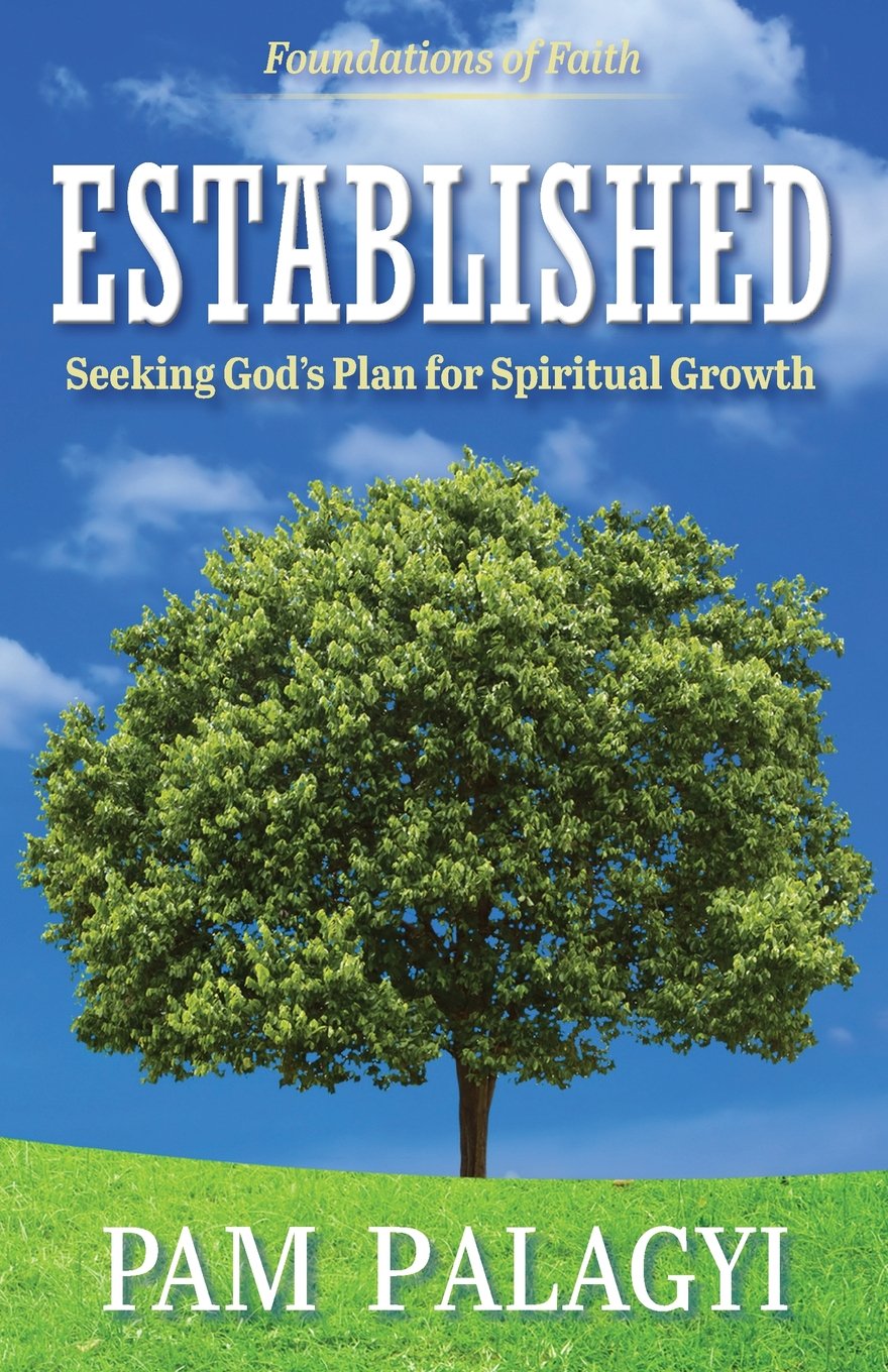 Established: Seeking God's Plan for Spiritual Growth (Foundations of Faith) Religion & Esotericism